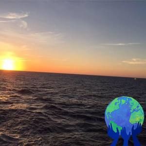 Meet your Posher, Sheila